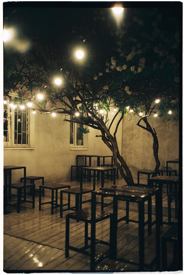 uplighting for trees